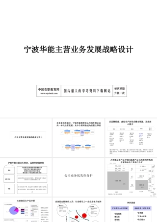 宁波华能国际贸易有限公司发展战略设计方案