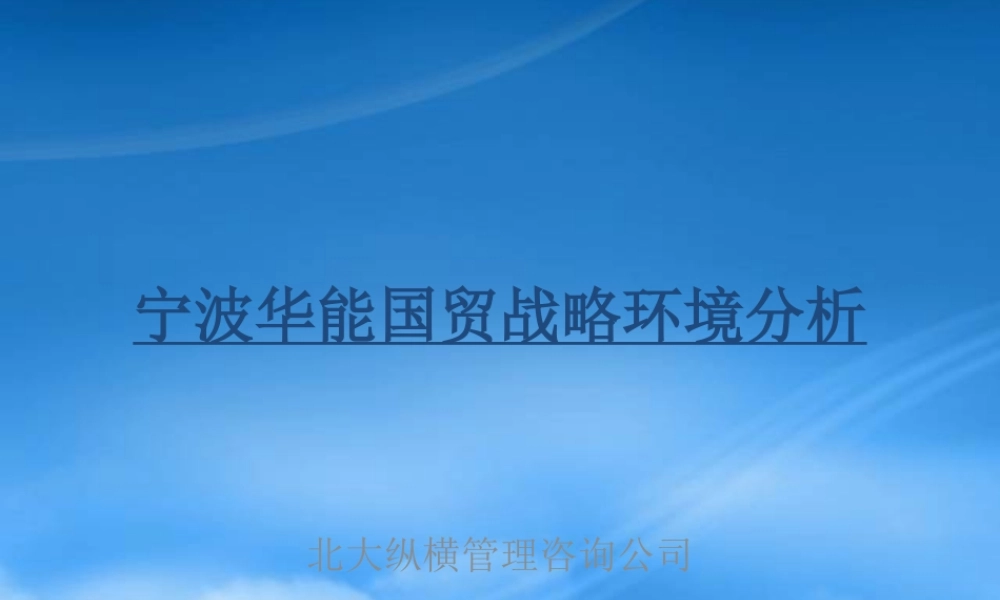 宁波华能国际贸易有限公司战略环境分析报告