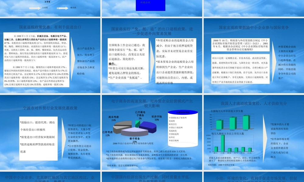 宁波华能国际贸易有限公司战略环境分析报告