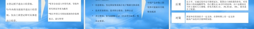 宁波华能国际贸易有限公司战略环境分析报告