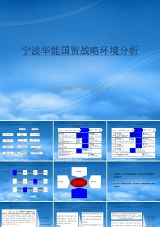 宁波华能国际贸易有限公司战略环境分析报告