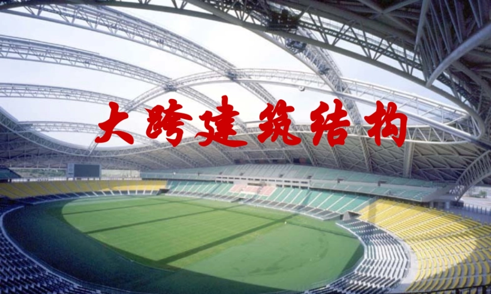大跨建筑结构(设计要点)