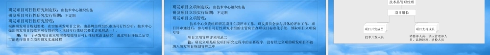 宁波华能研发管理模式设计方案