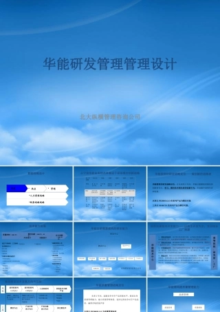 宁波华能研发管理模式设计方案