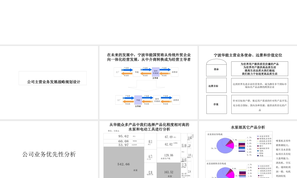 宁波华能主营业务发展战略设计