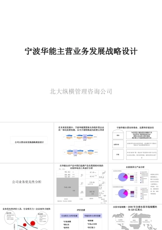 宁波华能主营业务发展战略设计