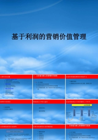 基于利润的营销价值管理教材