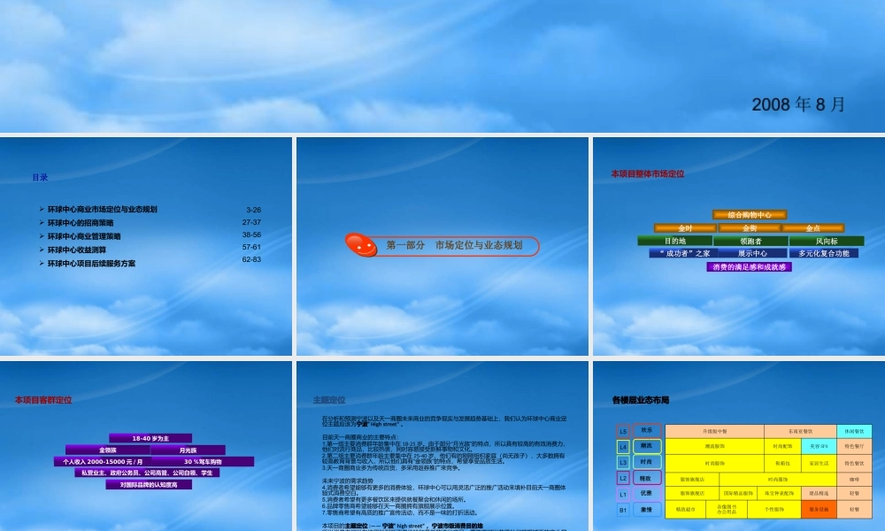 宁波环球中心项目招商与运营管理建议