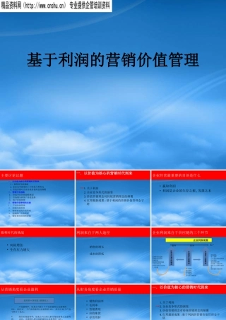 基于利润的营销价值管理综述