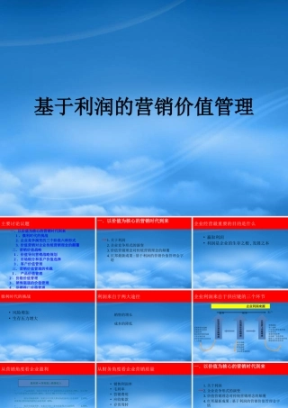 基于利润的营销价值实践