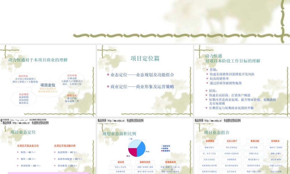 大理南国城招商及营销策略案(PPT41页)