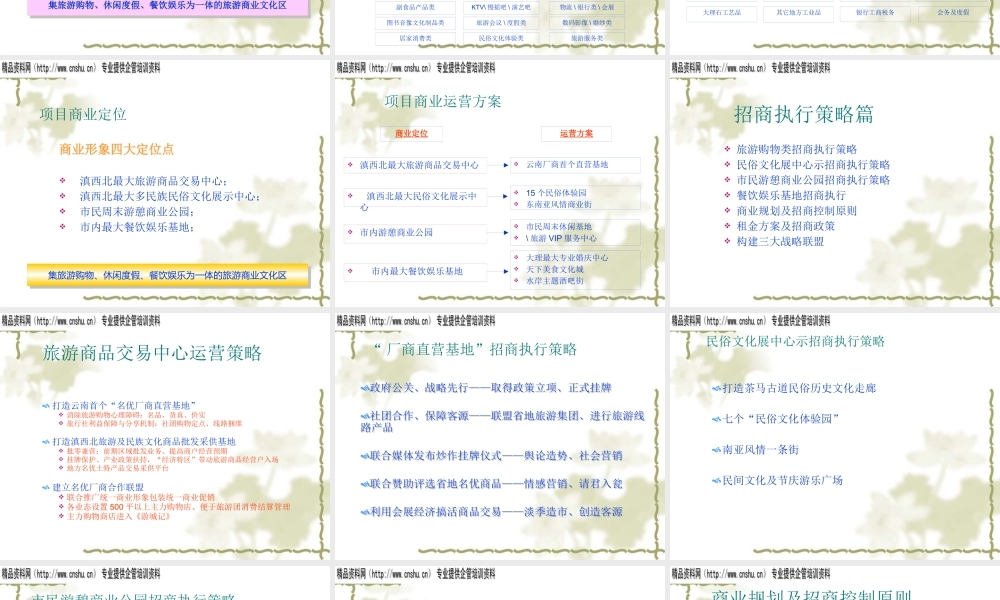 大理南国城招商及营销策略案(PPT41页)