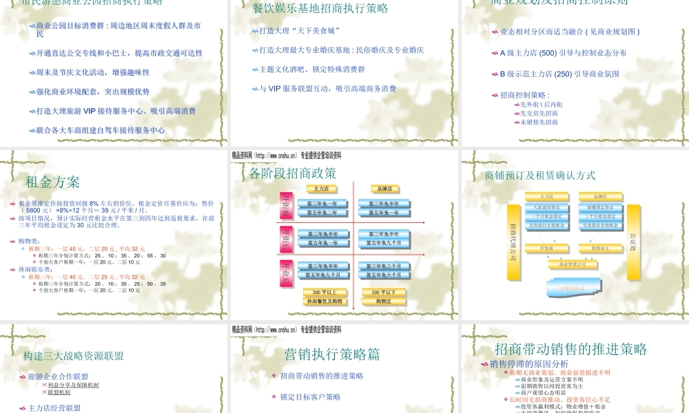 大理南国城招商及营销策略案(PPT41页)