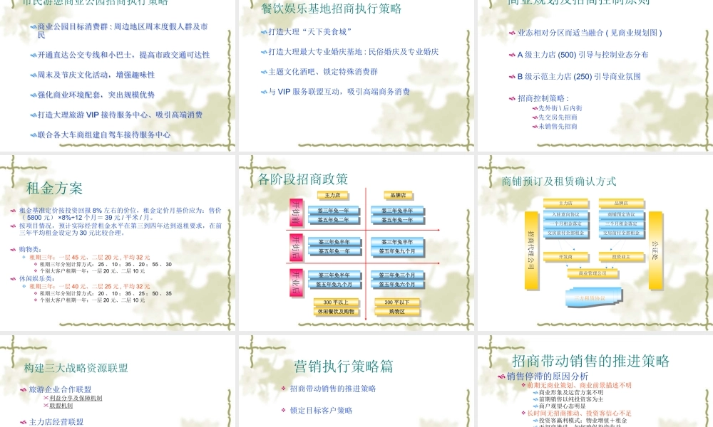 大理南国城招商及营销策略案