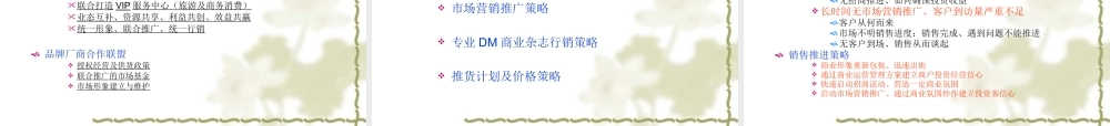 大理南国城招商及营销策略案