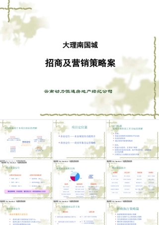 大理南国城招商及营销策略方案