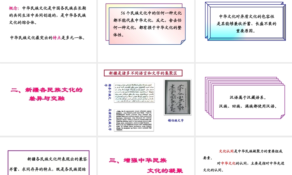 大力发展少数民族和民族地区的文化