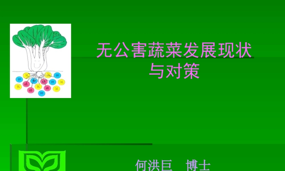 大力发展无公害蔬菜