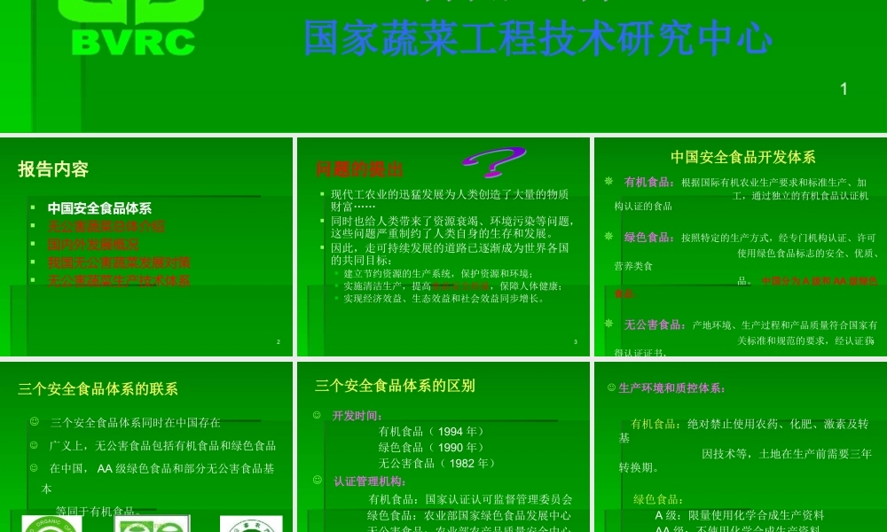 大力发展无公害蔬菜