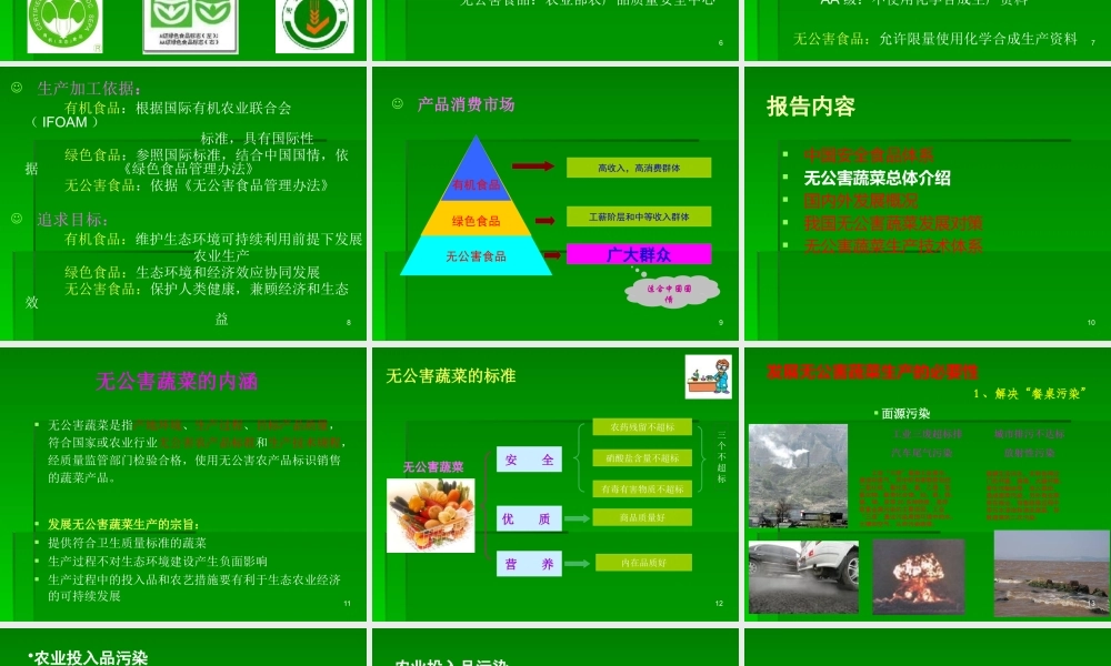 大力发展无公害蔬菜