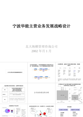宁波某公司主营业务发展战略设计