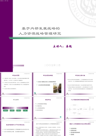 基于内部发展战略的人力资源战略管理研究讲义