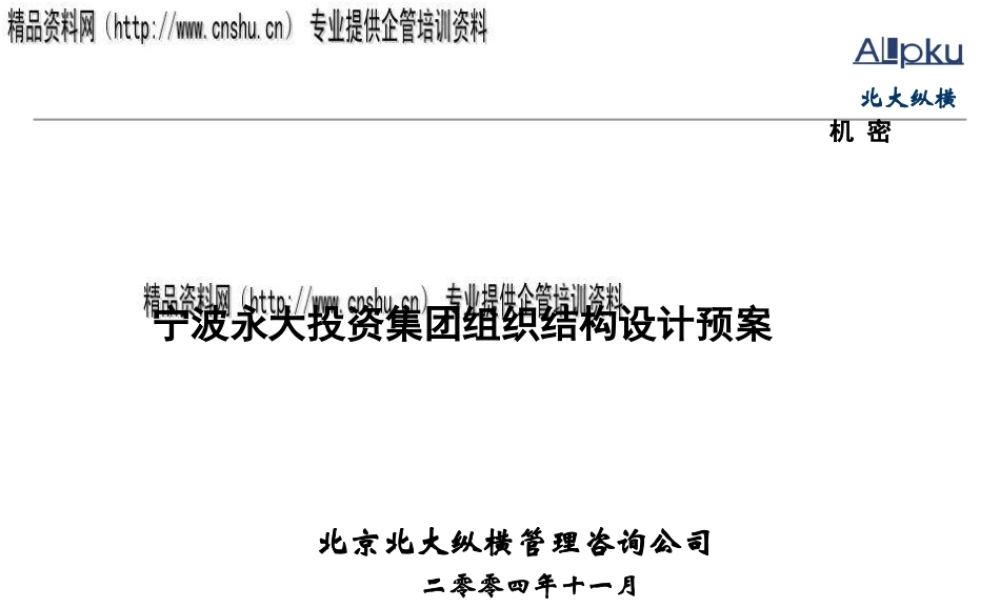 宁波某集团组织结构设计预案