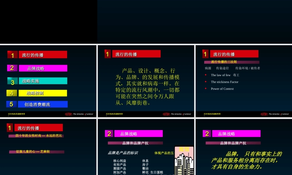 基于品牌的战略(ppt 49页)2