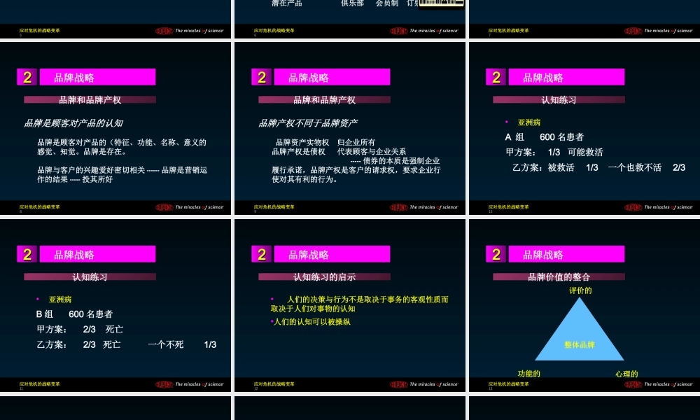 基于品牌的战略(ppt 49页)2