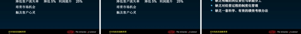 基于品牌的战略(ppt 49页)2