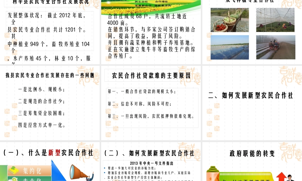 大力发展新型农民合作社实现共同富裕梦