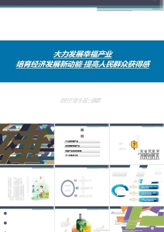 大力发展幸福产业(PPT38页)