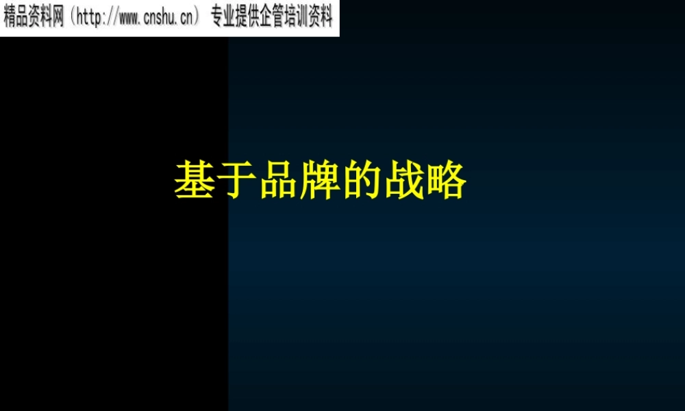 基于品牌的战略管理方案