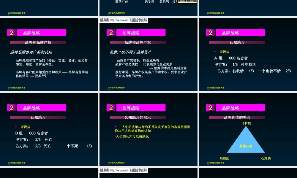 基于品牌的战略管理方案
