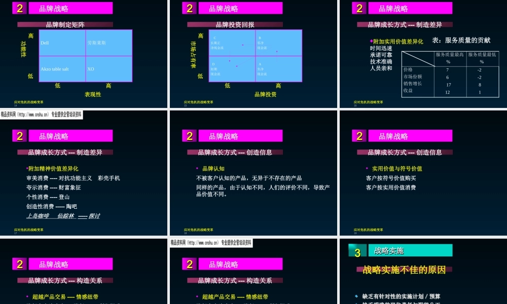 基于品牌的战略管理方案