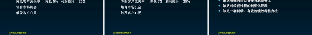 基于品牌的战略管理方案