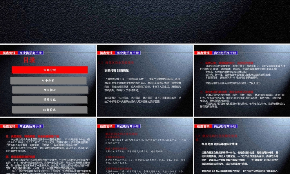 宁波商业街招商手册指导案