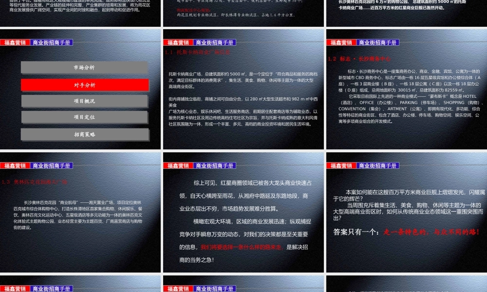 宁波商业街招商手册指导案