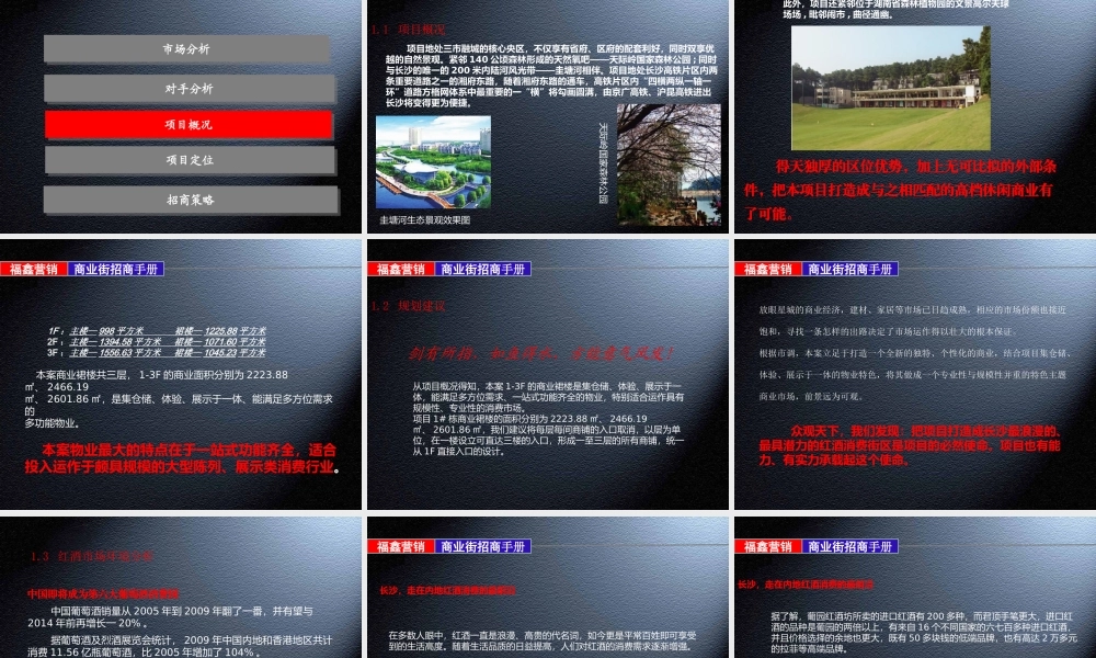宁波商业街招商手册指导案