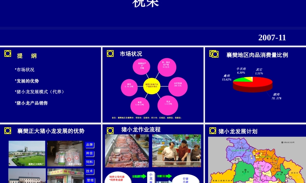 大力发展猪小龙项目