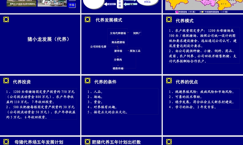 大力发展猪小龙项目