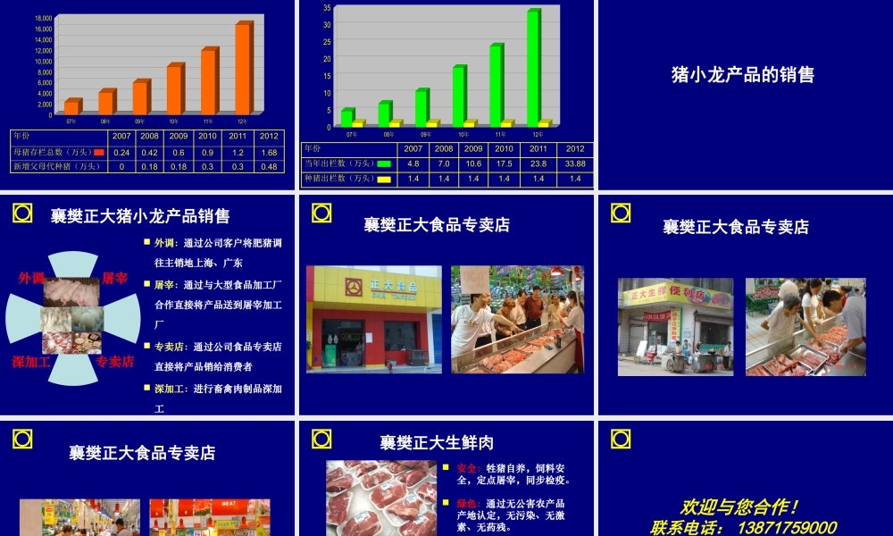 大力发展猪小龙项目