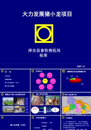 大力发展猪小龙项目