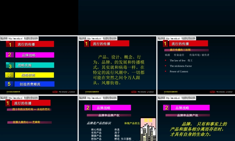 基于品牌的战略知识讲义