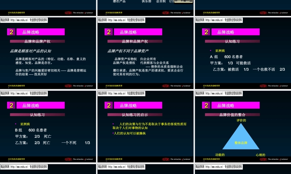 基于品牌的战略知识讲义