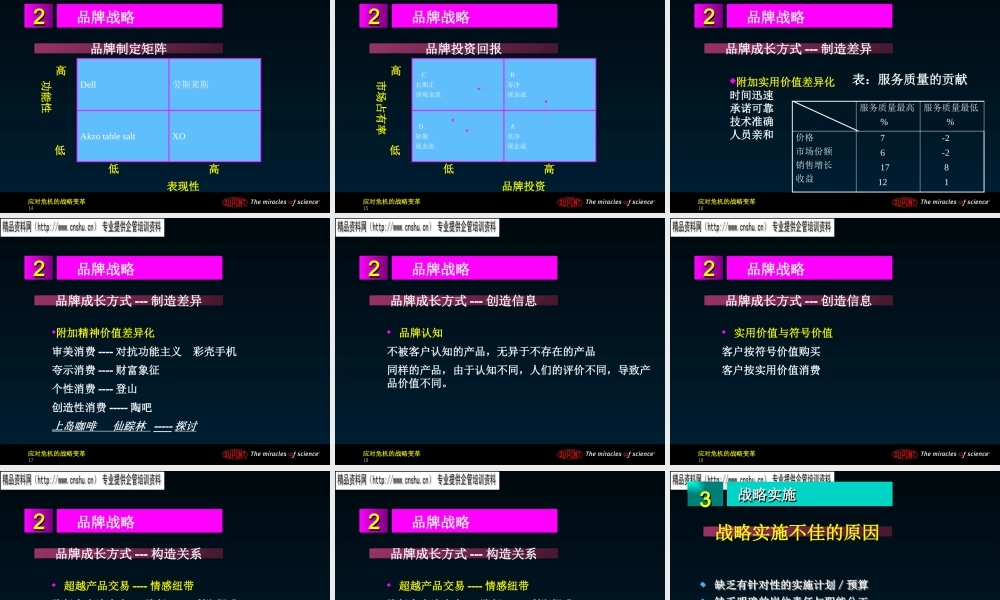 基于品牌的战略知识讲义