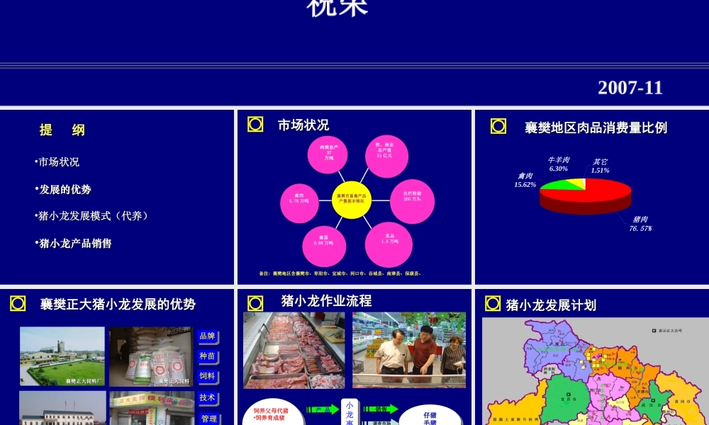 大力发展猪小龙项目管理知识分析方案