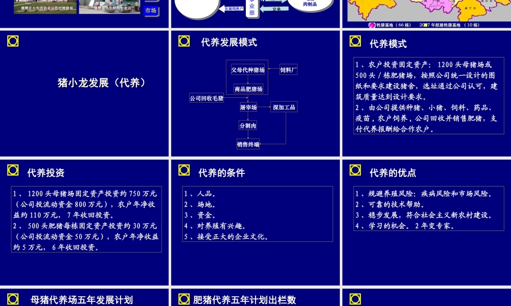 大力发展猪小龙项目管理知识分析方案