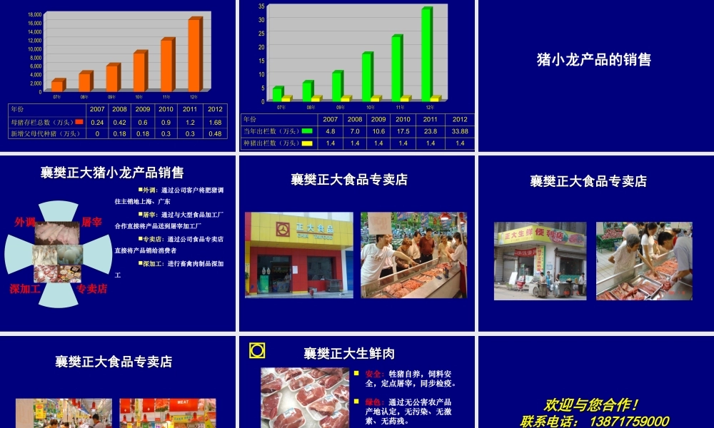 大力发展猪小龙项目管理知识分析方案
