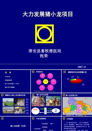 大力发展猪小龙项目管理知识分析方案
